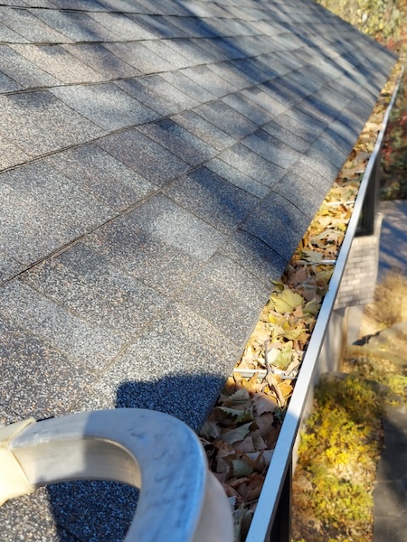 Gutter cleaning how clogs lead to foundation and landscape damage