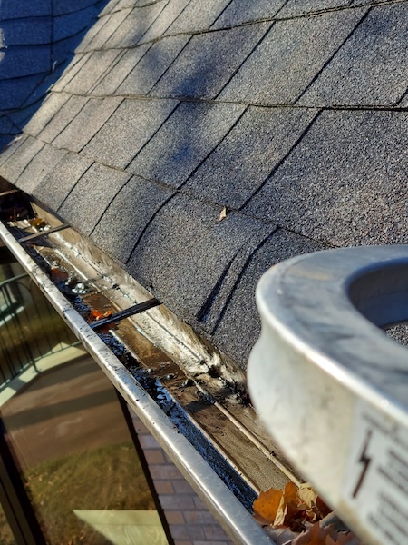 Gutter cleaning how clogs lead to foundation and landscape damage