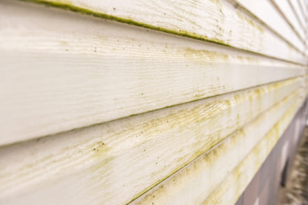 The hidden cost of skipping house washing mold algae and repairs